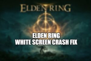 Elden Ring White Screen Crash